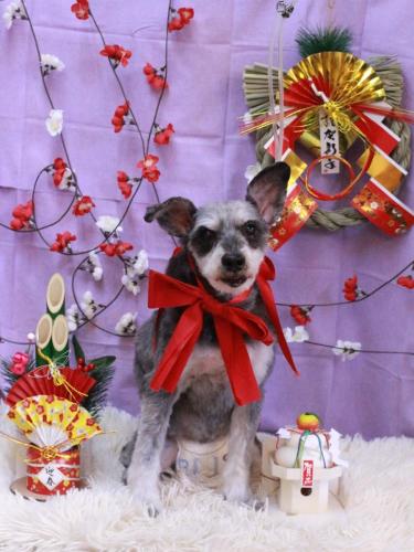 20230120クルークちゃん